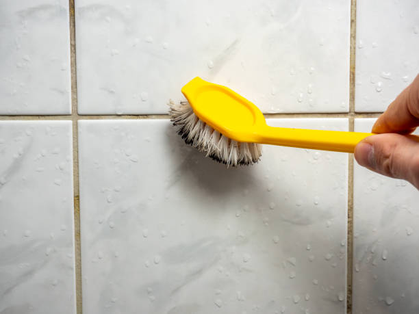 Best Office Mold Removal Services  in Tri City, OR