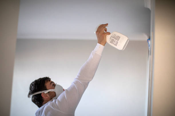 Attic Mold Removal in Tri City, OR