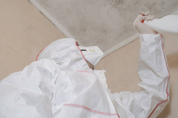 Best Mold Testing  in Tri City, OR