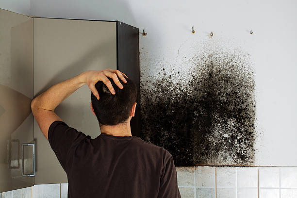 Best Professional Mold Removal  in Tri City, OR